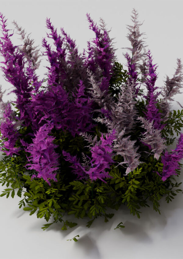 Flower 1